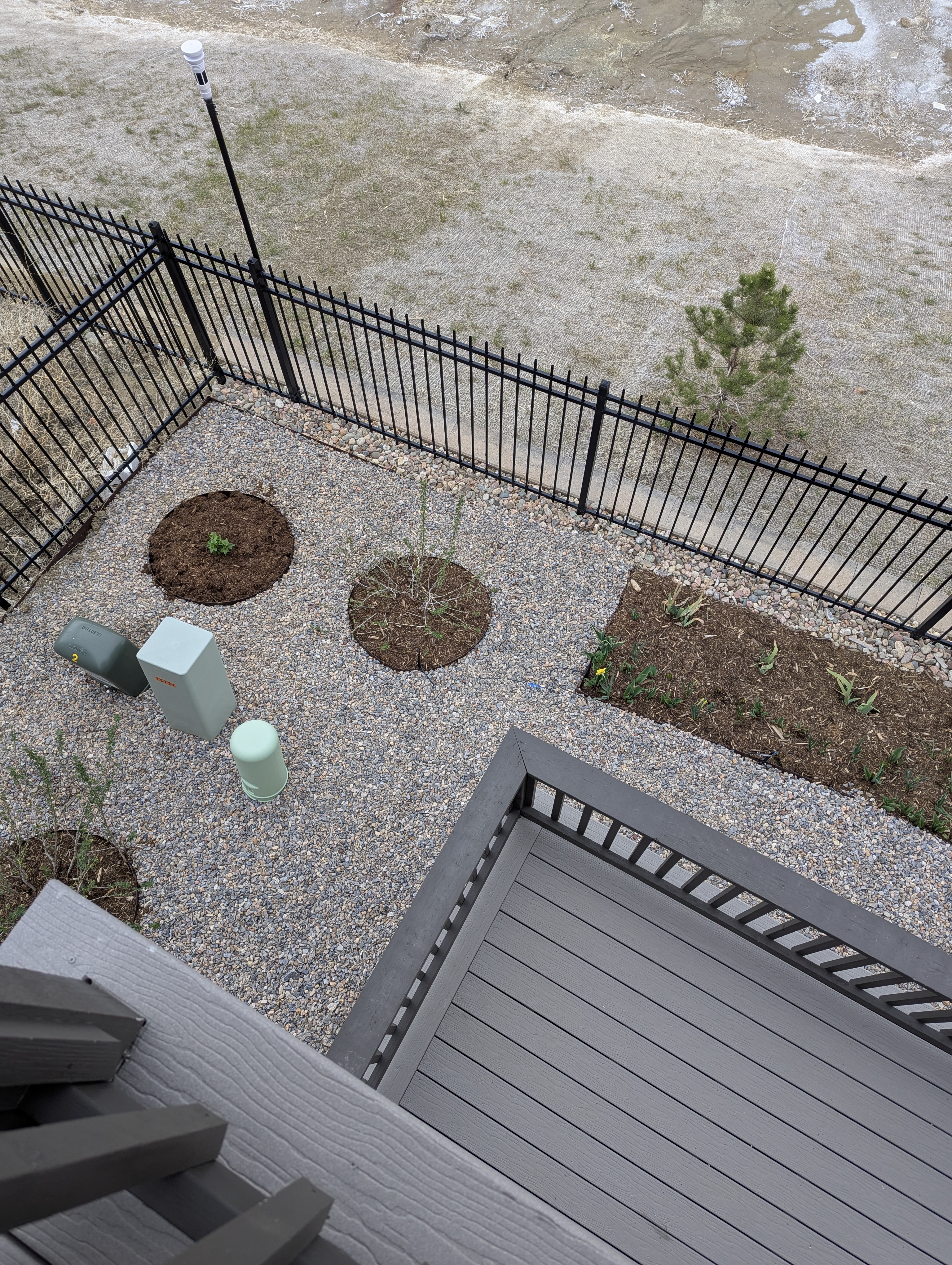 Garden, Flowers, Morrison, Colorado